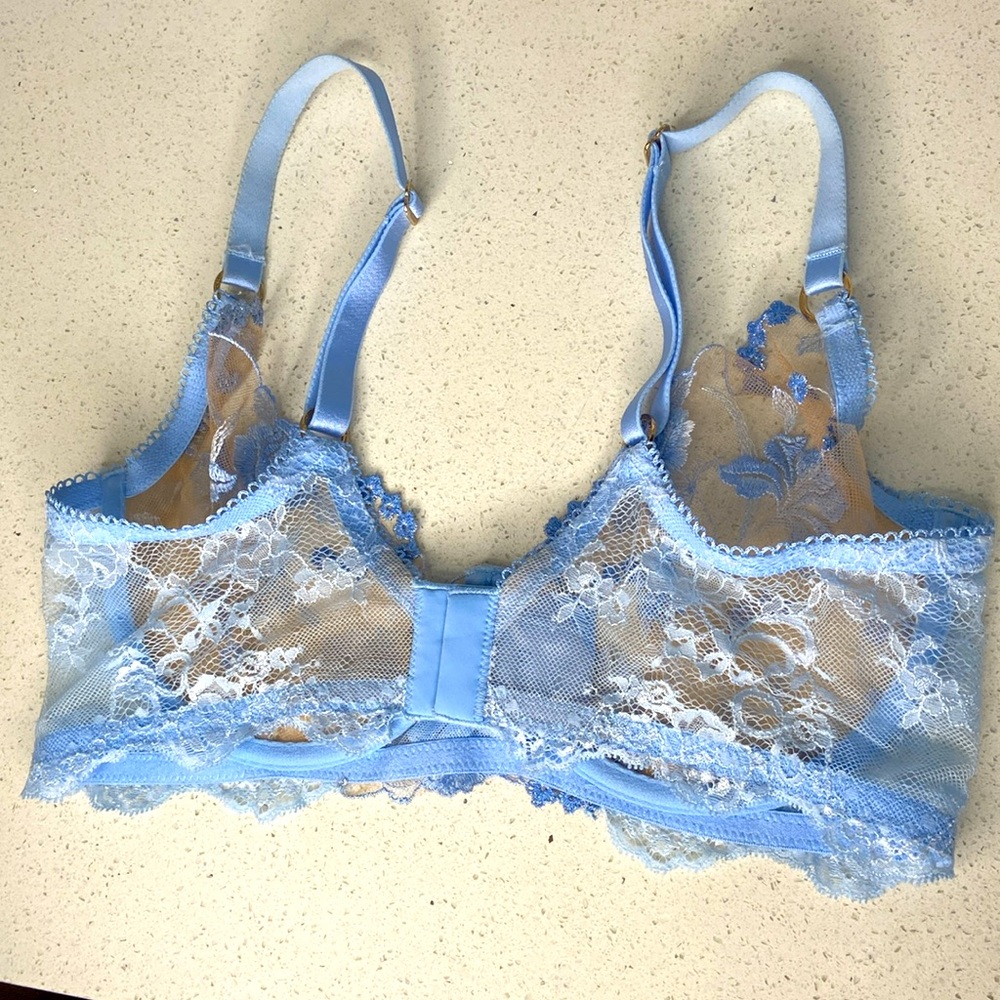 The Baby Blue Honey Birdette Bra - Picture 4 of 4